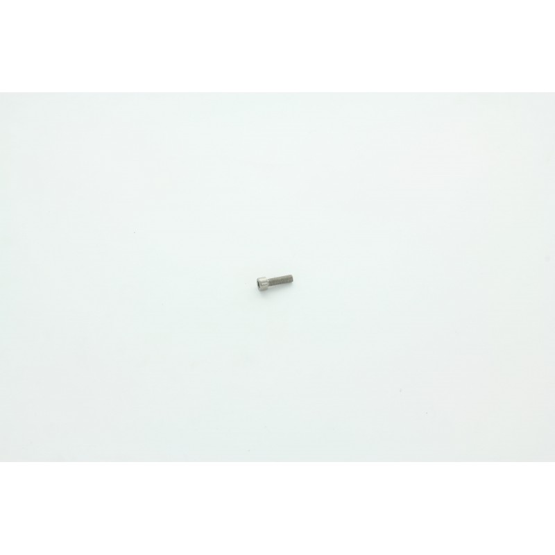 VIC M6x20 POUR AUTOLAVEUSE DULEVO