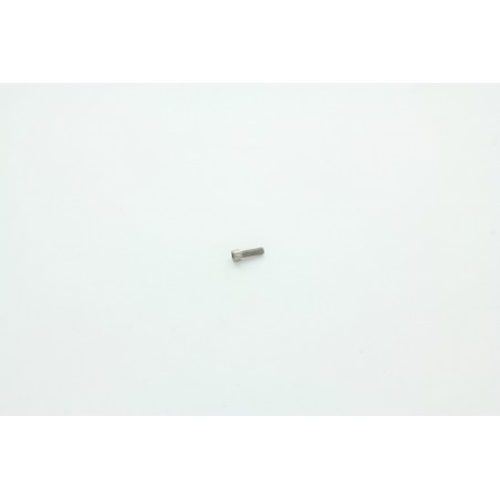 VIC M6x20 POUR AUTOLAVEUSE DULEVO