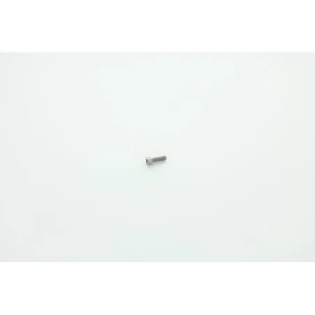 VIC M6x20 POUR AUTOLAVEUSE DULEVO