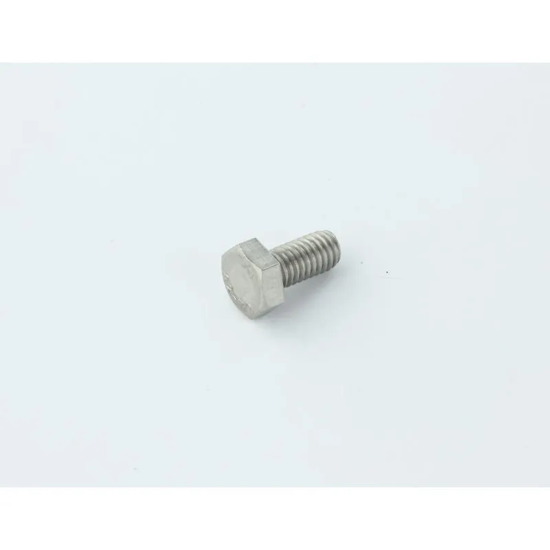 VIS TE M 6X 12 INOX