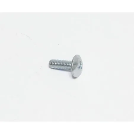 VIS, TRS, M4 X 0.70 X 12, PHL, PL POUR AUTOLAVEUSE TENNANT