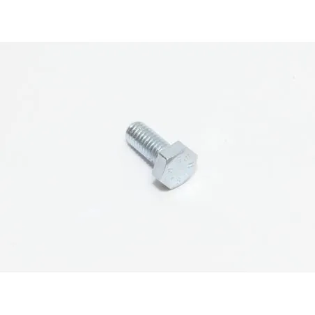 VITE M6X14 TE UNI 5739 (8.8) ZINC.